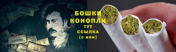 PSILOCYBIN Алзамай