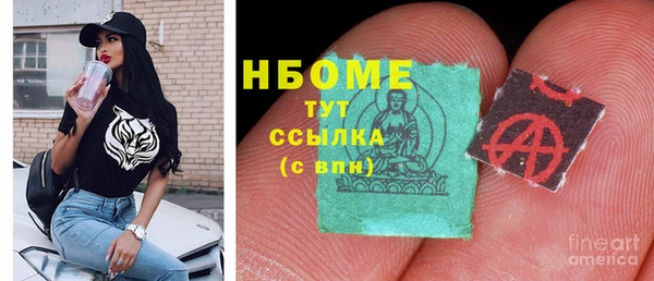PSILOCYBIN Алзамай