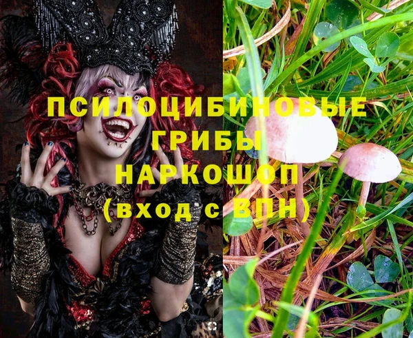 СК Алексеевка